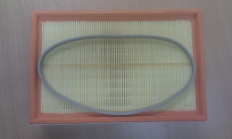 Luftfilter OEM 036 198 620, 1 stk